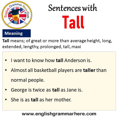 traduction tall|use tall in a sentence.